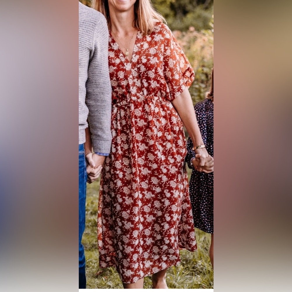 Rag & Bone Elyse Floral dress in pecan